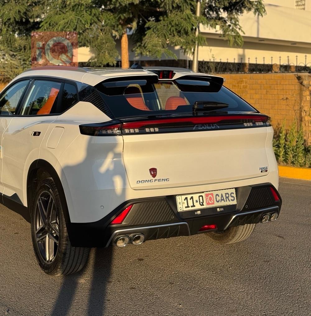 دونج فينج ماج